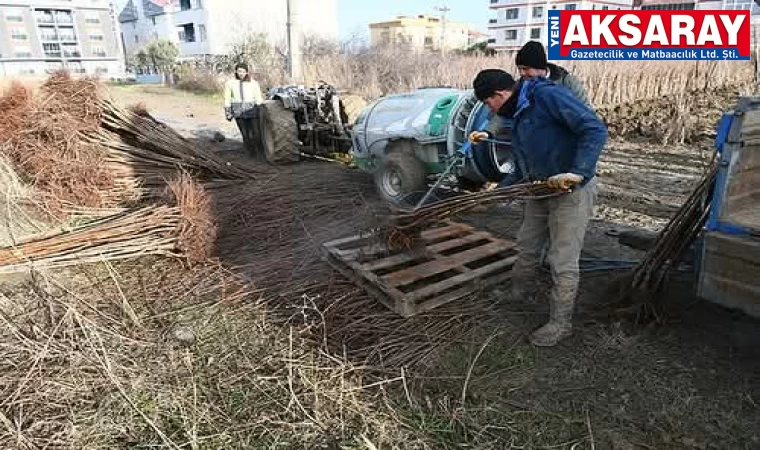 Fidancılar sezondan umutlu