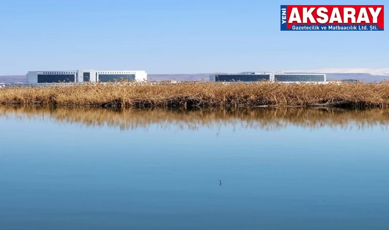 Atık sular deniz derya oluşturdu