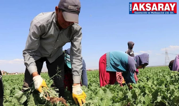 Mev­sim­lik tarım işçilerinde ücretler arttı