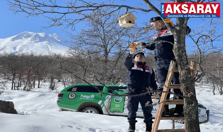 Yaban kuş­la­rı­na yuva ya­pı­lıp ağaç­la­ra asıl­dı