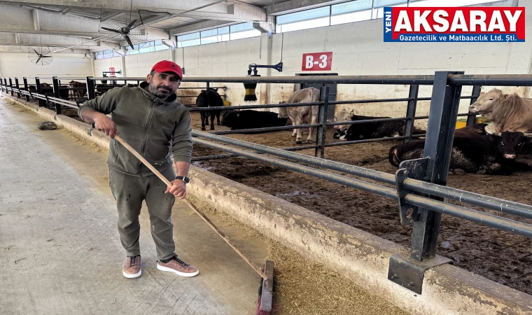 Devlet desteği ile besi çiftliği kurdu