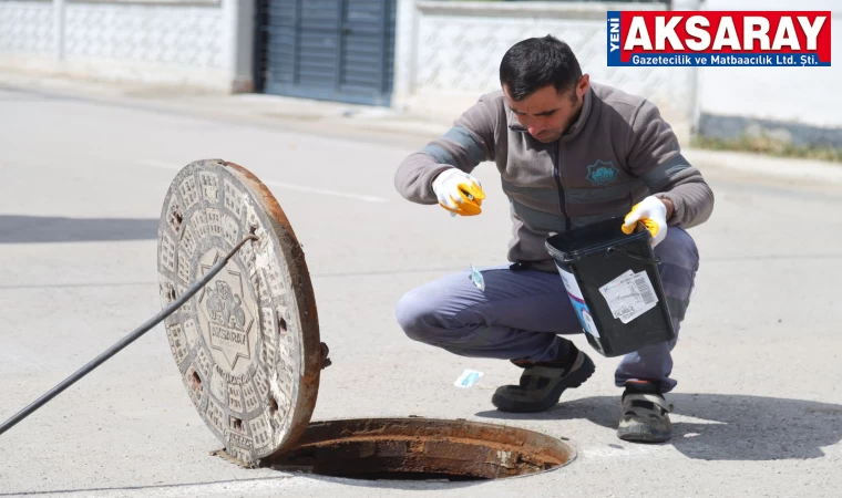 Haşerelere karşı önlem alındı