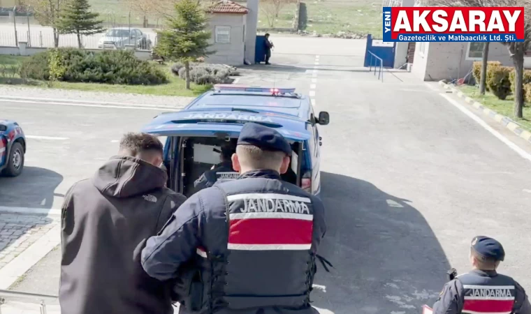 Hayvan hırsızları yakalandı