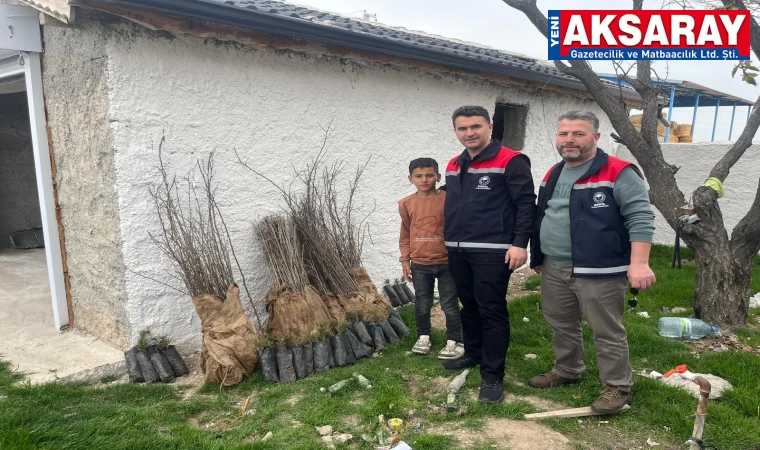Köy ve yaylalara fidan dağıtıldı