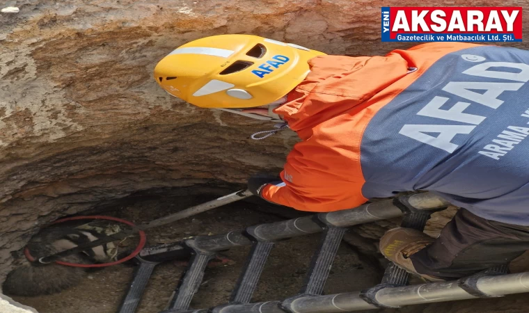 Kuyudan porsuk çıktı