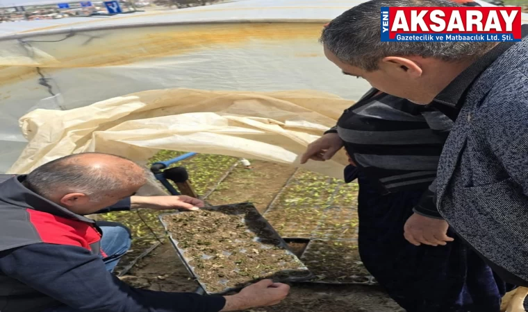 Soğuk hava seraları bile vurdu