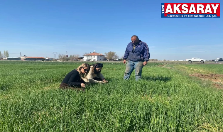 Tarım danışmanlarından üreticilere ziyaret