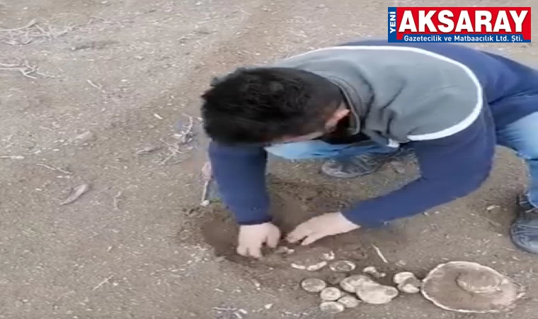 Toplanan mantarlar görenleri şaşırttı