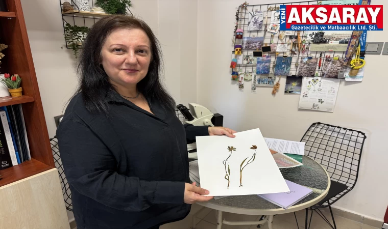 Aksaray üniversitesinde ters lale araştırması