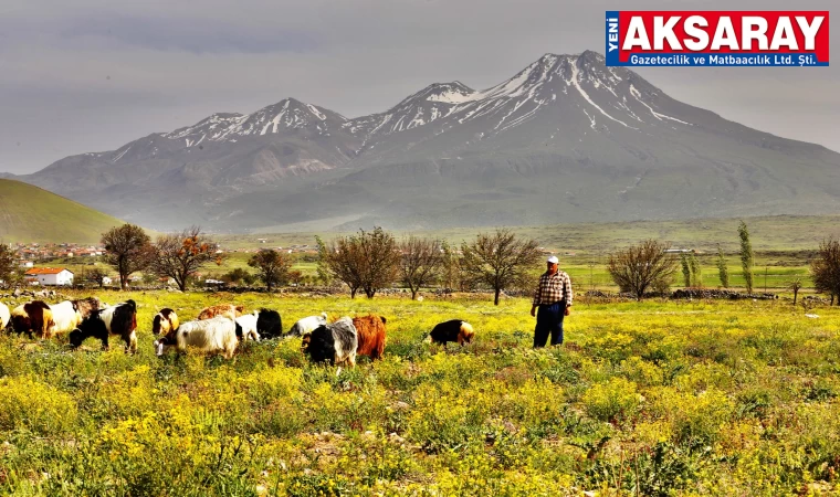 Aksaray'ın doğa manzaraları ulusal basında