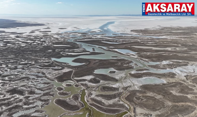 BİR ZAMANLAR FLAMİNGO CENNETİYDİ Tuz Gölü’nde kuraklık her geçen gün artıyor