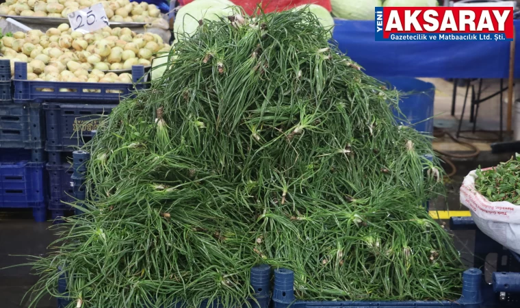 DOĞADA KENDİLİĞİNDEN YETİŞİYOR, FAYDASI SAYMAKLA BİTMİYOR Yemlik otu tezgahlarda yerini aldı