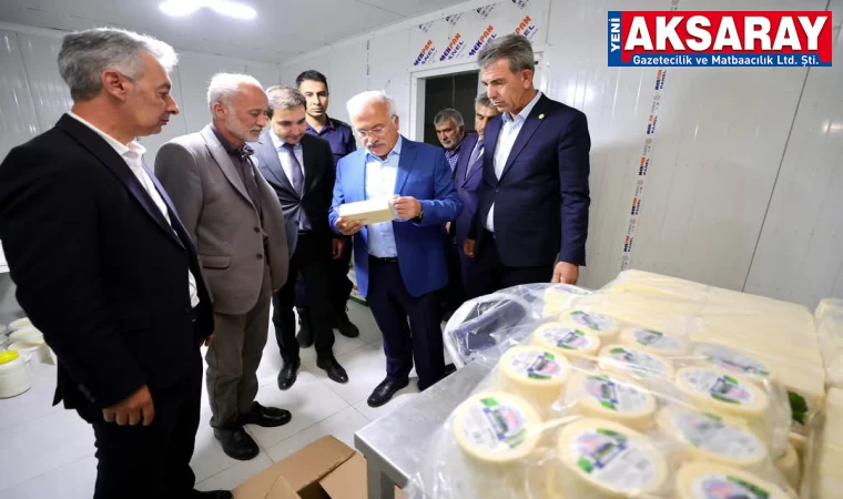 Kalkınma kooperatifinin peynir imalatını gezdi