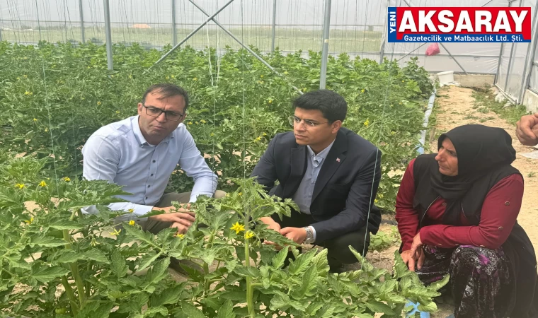 Kaymakam Yetiş’den sera ziyareti