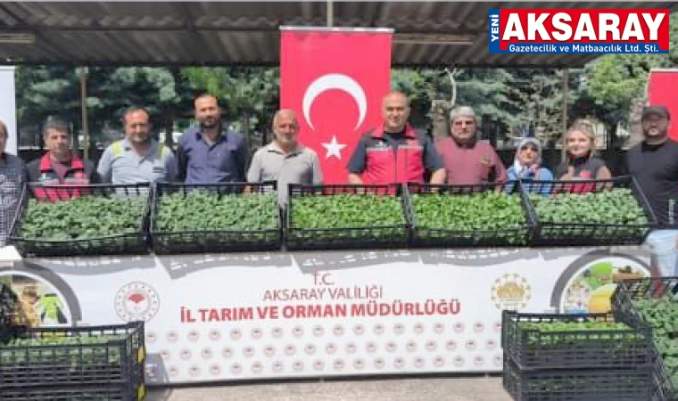 Üreticilere kavun ve karpuz fidesi dağıtıldı