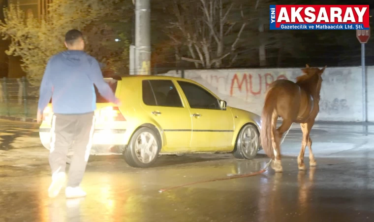Vatandaşların atla imtihanı