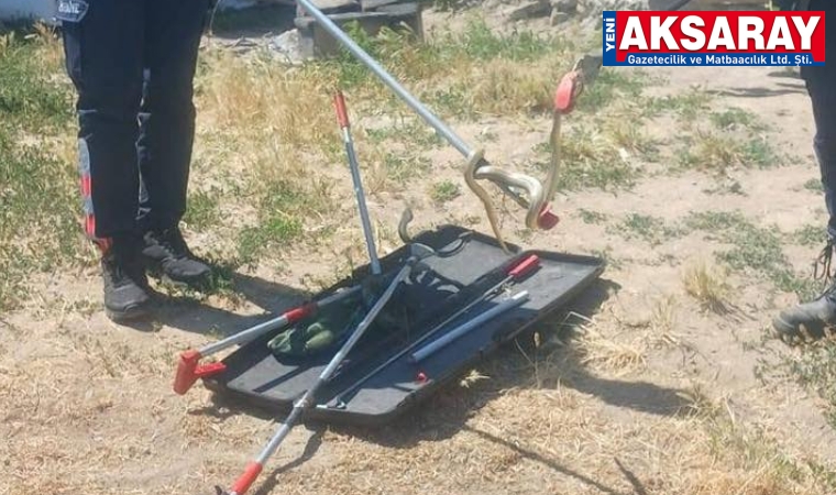 AMAN DİKKAT Sıcaklıkların artmasıyla yılanlar deliğinden çıktı
