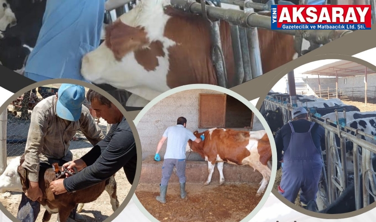 Aşılama çalışmaları hız kesmiyor