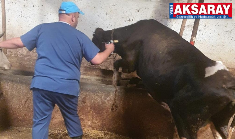 Aşılamalar aralıksız sürüyor