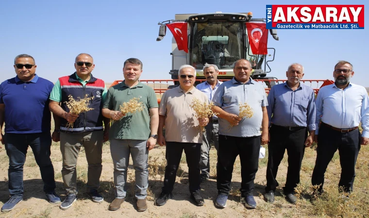 Belediye nohut hasadında