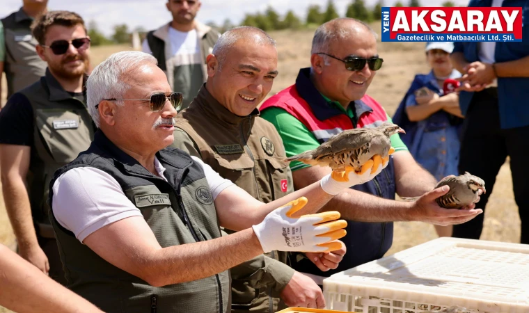Keneye karşı kınalı keklikleri doğaya saldık