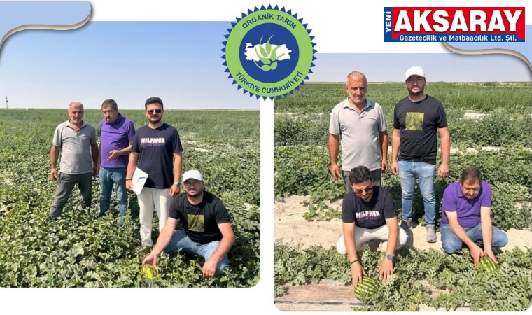 Organik tarımda saha takipleri aralıksız sürüyor
