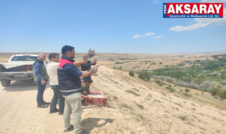 Oymaağaç Köyü’nde doğaya 30 keklik salındı