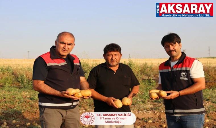 Patates hasadına başlandı