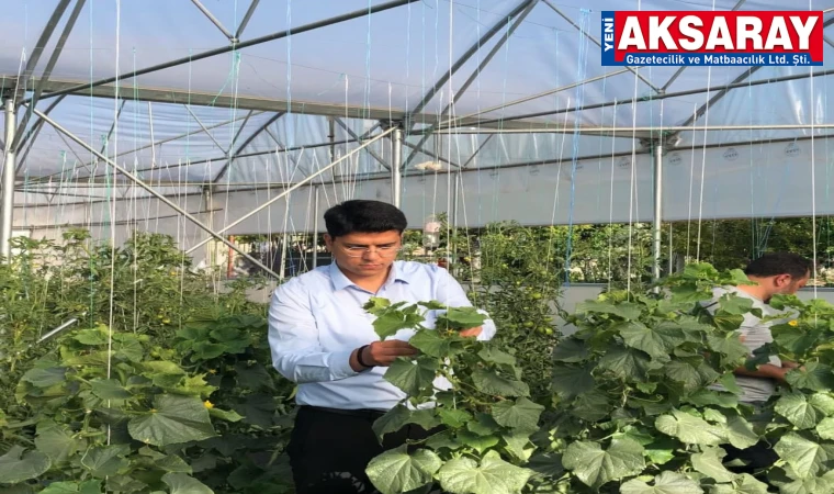 Serada üretim yapan çiftçileri ziyaret etti