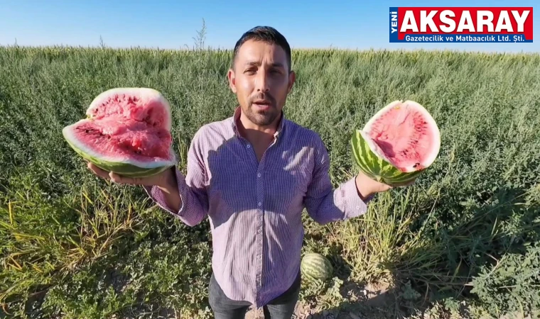 Aksaray'ın kavun ve karpuzu tercih ediliyor