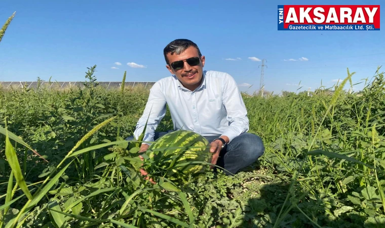 Amarat Karpuzunu tanıttı
