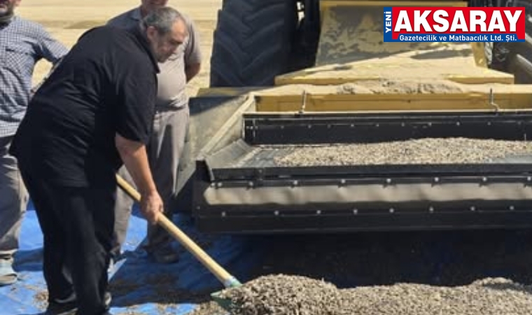 Çerezlik ayçiçeği tarlasında işçilerle bir araya geldiler