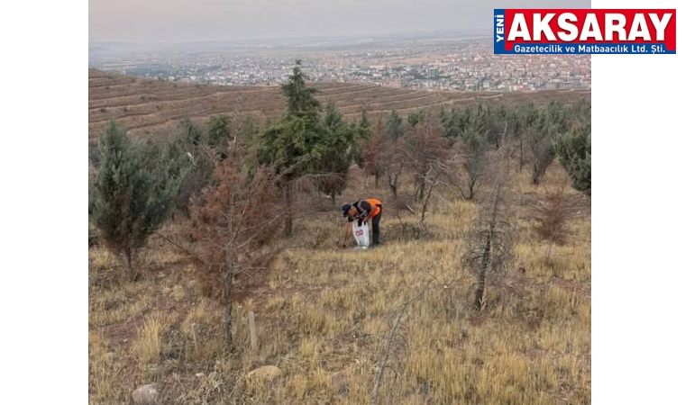 Gönüllü ormancı destek istiyor