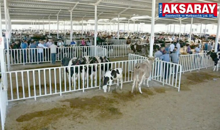 Hayvan pazarları açıldı