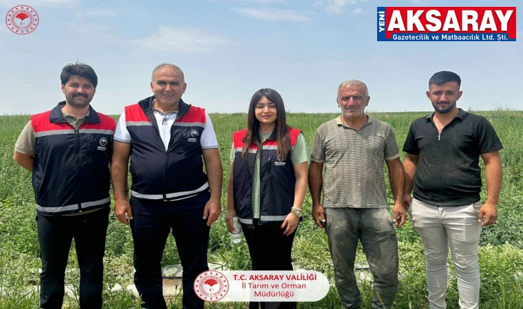 Kavun ve karpuz tarlasında incelemelerde bulundu
