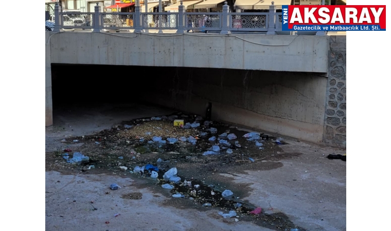 Köprü altı çöplüğe döndü