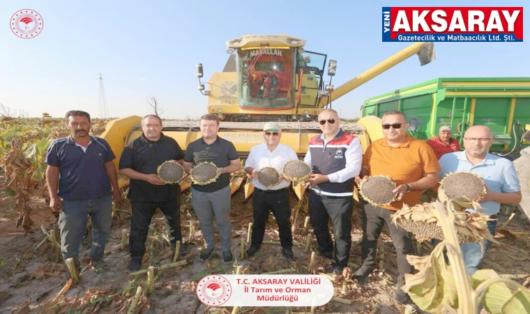 Muhabbeti artıran ürün hasatta