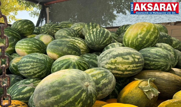Organik kavun karpuz çok satıyor