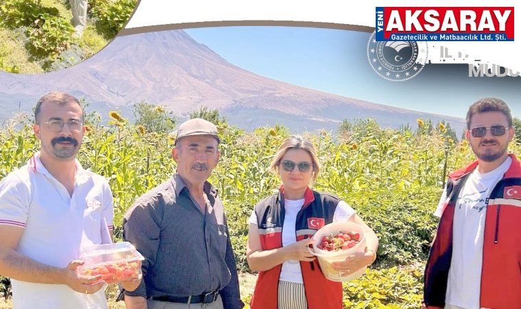 Organik tarıma ağırlık veriliyor