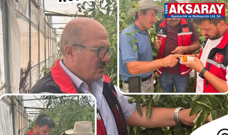 Seralarda ürünlere yapılan ilaç kontrolü