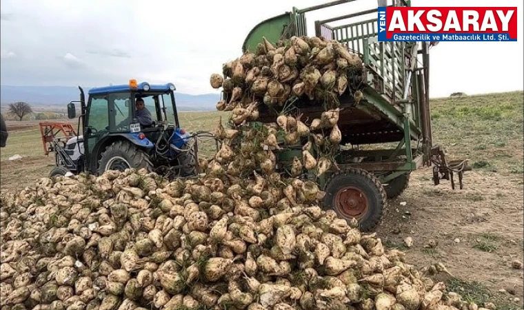 TONU 3500 TL OLSUN Pancarda taban fiyat beklentisi