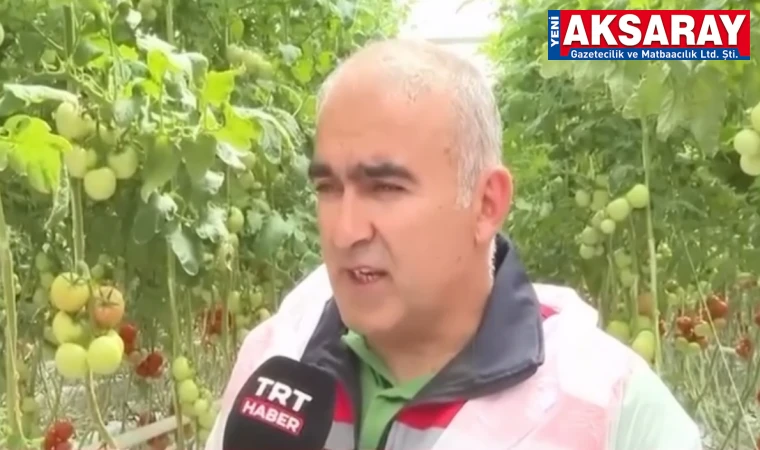 ÜÇ MERKEZDE ÜRETİM Tarımda Jeotermal Enerji dönemi başlıyor