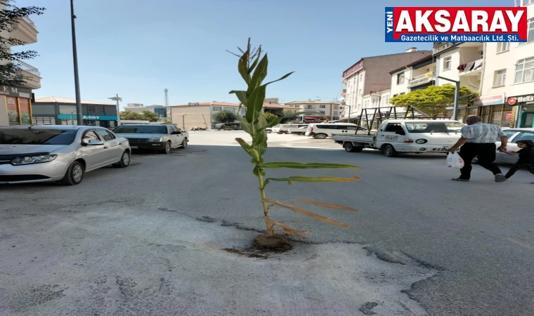 BENZER OLAY ESKİLDE’DE YAŞANMIŞTI Sultanhanı’nda yol protestosu