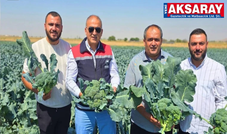 Brokoli üretimi ile takdir topladı