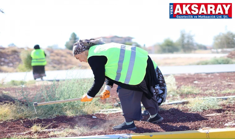 Daha temiz bir şehir için çalışıyorlar