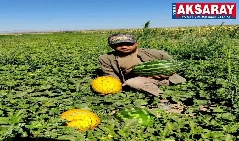 Kavun ve karpuzda Aksaray üretimi kalmadı