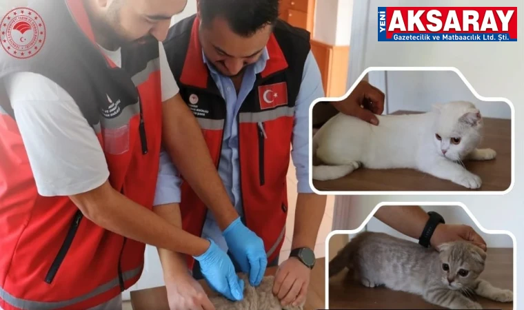 Kedi ve Köpekler PETVET sistemine kaydedilecek