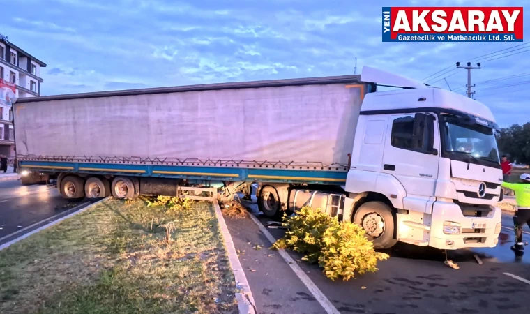 KEDİYİ KURTARDI AMA KAZADAN KAÇAMADI Tır refüje çıktı, sonra araca çarptı
