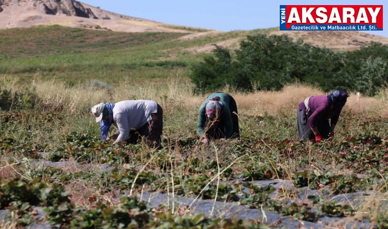 Tarımın sessiz kahramanları