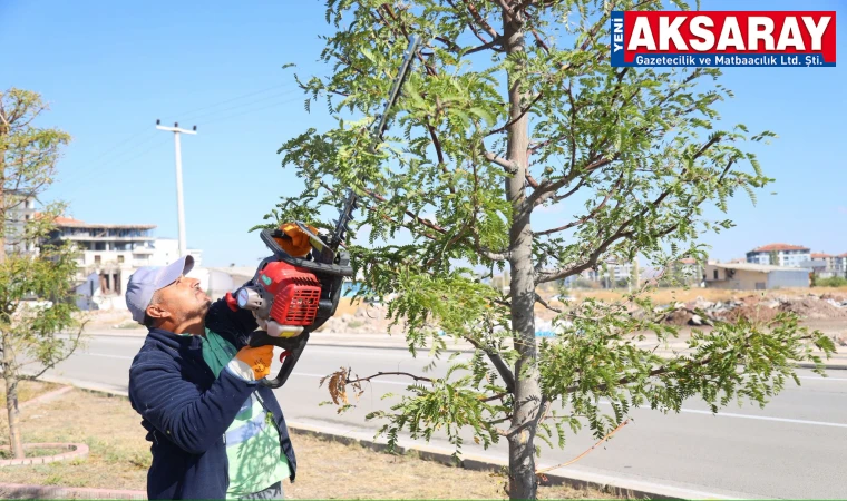 AĞAÇLAR BUDANIYOR Yeşil alanlara sonbahar dokunuşu